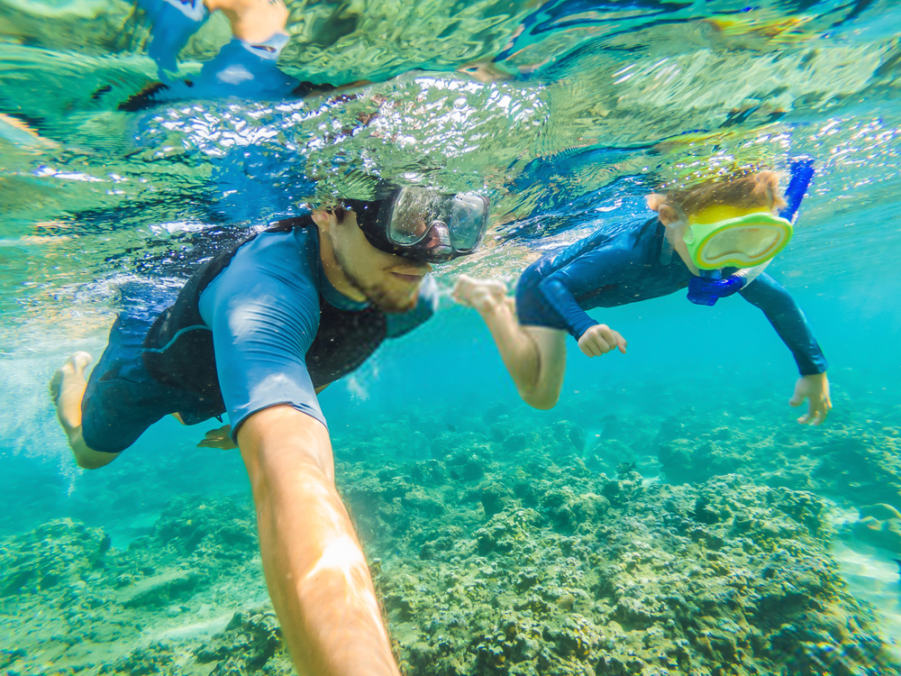 Spot Snorkeling dan Diving di Menjangan